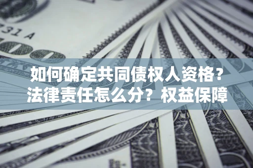 北京如何确定共同债权人资格？法律责任怎么分？权益保障技巧揭秘！