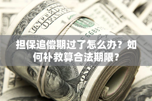 北京担保追偿期过了怎么办？如何补救算合法期限？