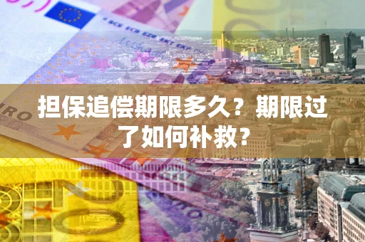 北京担保追偿期限多久？期限过了如何补救？