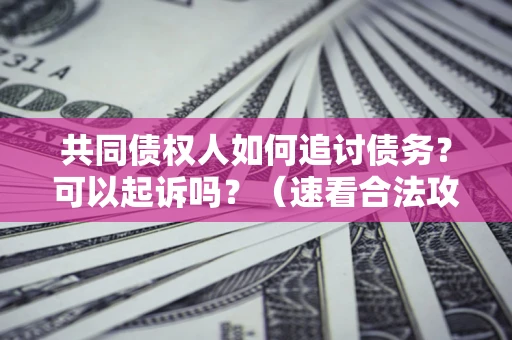 北京共同债权人如何追讨债务？可以起诉吗？（速看合法攻略）