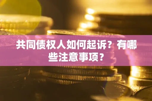 北京共同债权人如何起诉？有哪些注意事项？